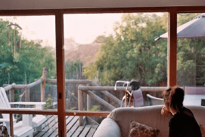 Signs Your Replacement Windows Are Needed Now